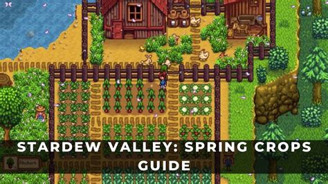 best seeds to buy in spring stardew valley